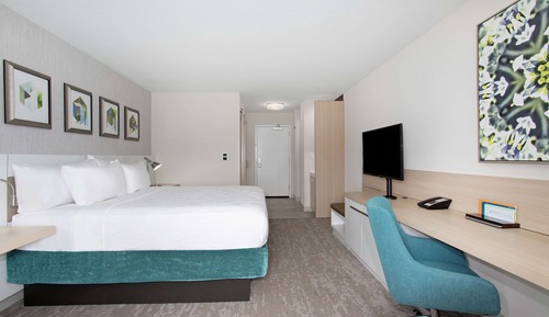Room, 1 King Bed (Roll-In Shower, Wellness Room)