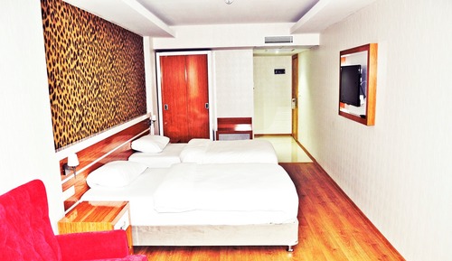 Single Room