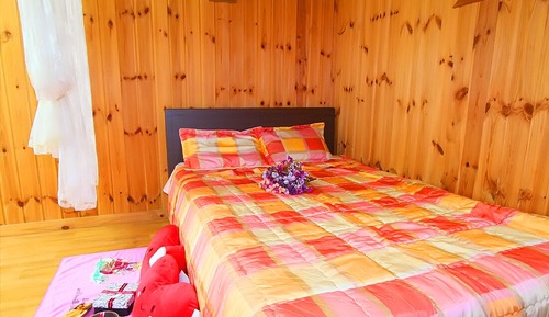 Room (Cabin 2)