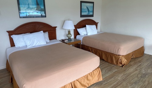 Single Room, 2 Queen Beds, Kitchen