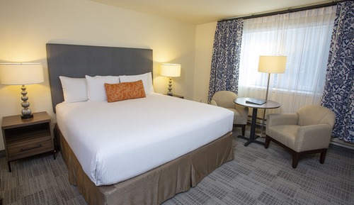 Studio, 1 Queen Bed