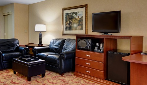 Suite, 1 King Bed with Sofa bed