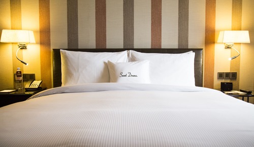 Room, 1 King Bed