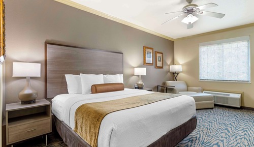 Standard Room, 1 King Bed, Non Smoking, Microwave