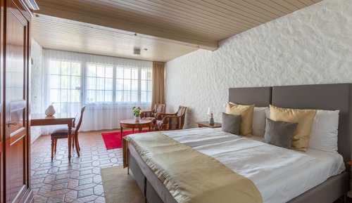 Double Room Single Use, Lake View