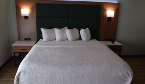 Room, 1 King Bed, Mobility Accessible, Non Smoking (Walk-in Shower)