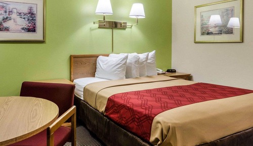 Room, 1 King Bed, Non Smoking