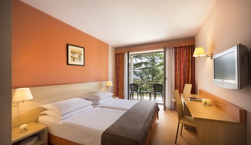 Standard Twin Room, Balcony, Park View