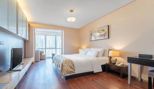 Basic King Room