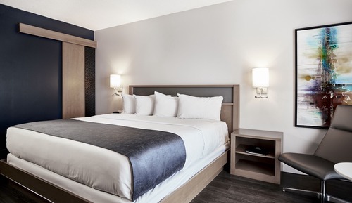 Elite Room, 1 King Bed, Ground Floor