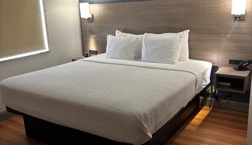 Room, 1 King Bed, Non Smoking