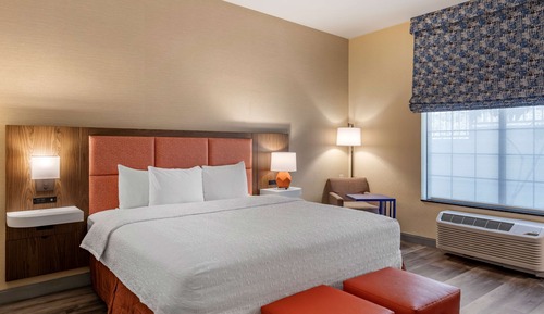 Room, 1 King Bed