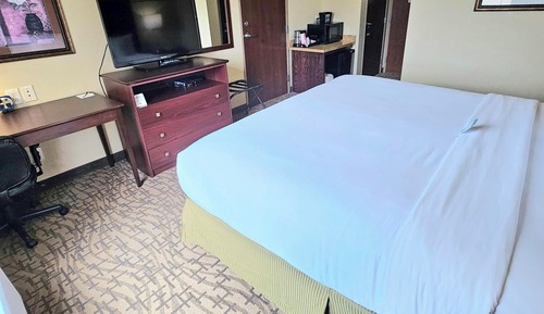 Standard Room, 1 King Bed, Non Smoking