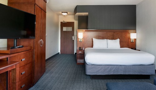 Room, 1 King Bed with Sofa bed (Mobility/Hearing Accessible, Tub)