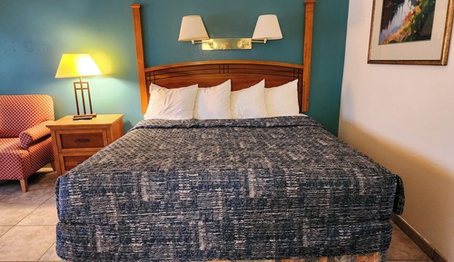 Room, 1 King Bed, Refrigerator & Microwave, Courtyard Area