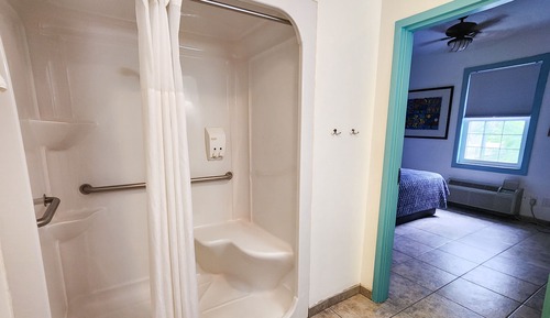 Basic Room, 1 King Bed, Refrigerator & Microwave