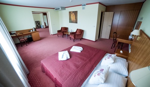 Suite, 1 King Bed