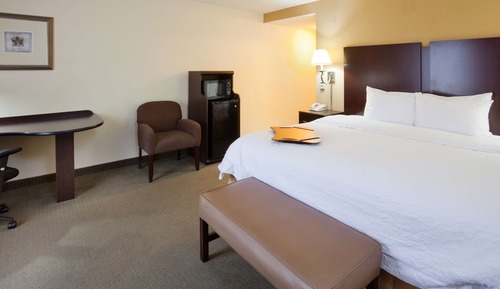 Room, 1 King Bed, Non Smoking