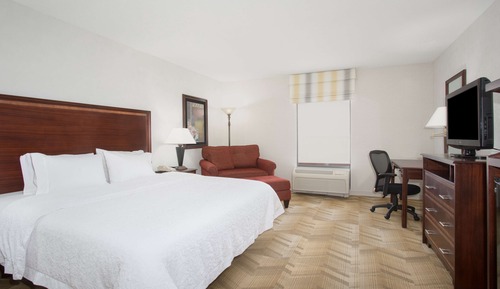 Room, 1 King Bed, Non Smoking, Refrigerator & Microwave