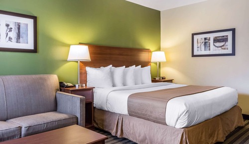 Room, 1 King Bed, Accessible, Non Smoking