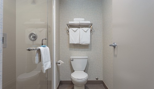 Suite, 1 King Bed