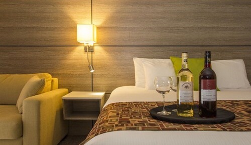 Standard Room, 1 King Bed with Sofa bed -Pet Friendly($)