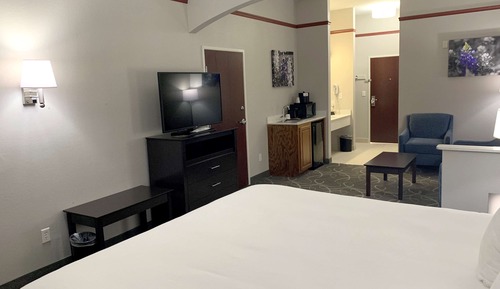 Deluxe Suite, 1 King Bed, Non Smoking, Refrigerator & Microwave (with Sofabed)