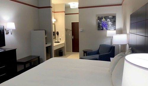 Standard Room, 1 King Bed, Non Smoking, Refrigerator & Microwave