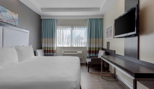 Standard Room, 1 King Bed, Accessible, Non Smoking