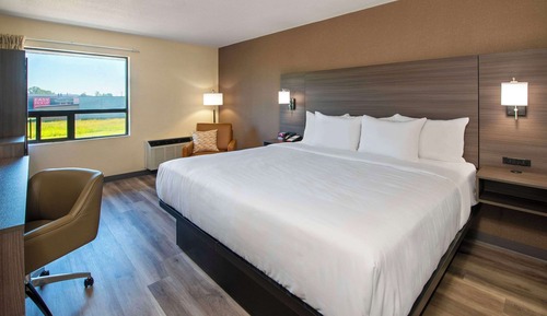 Standard Room, 1 King Bed, Non Smoking