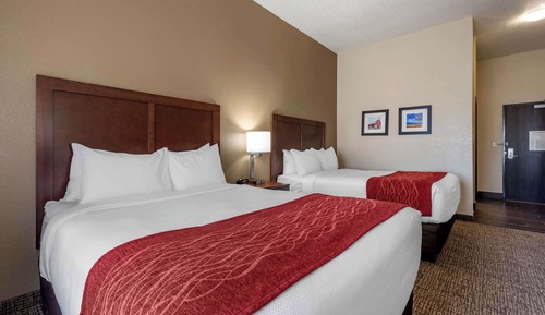 Room, Multiple Beds, Non Smoking