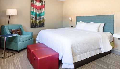 Room, 1 King Bed, Accessible, Non Smoking
