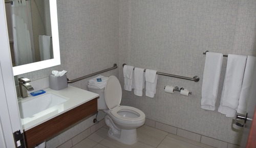 Suite, 1 King Bed, Accessible (Mobility, Roll-In Shower)