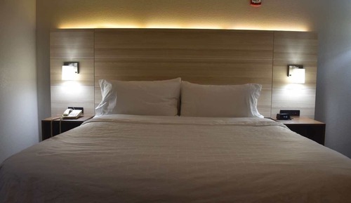 Suite, 1 King Bed with Sofa bed