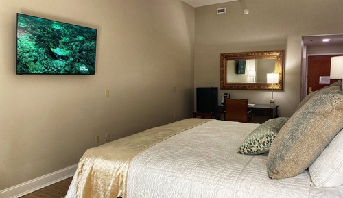Elite Studio Suite, 1 King Bed