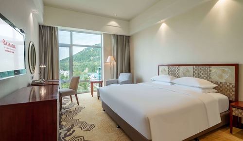 Suite, 1 King Bed, Non Smoking, Mountain View