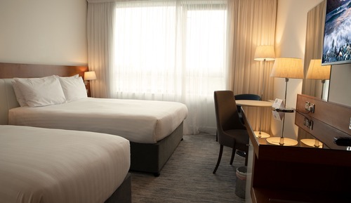 Standard Single Room, 1 Double Bed