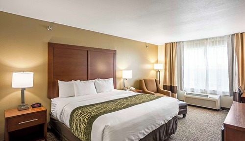 Standard Room, 1 King Bed, Non Smoking