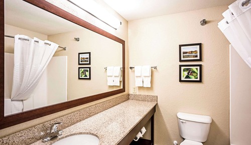 Suite, 1 King Bed with Sofa bed, Non Smoking