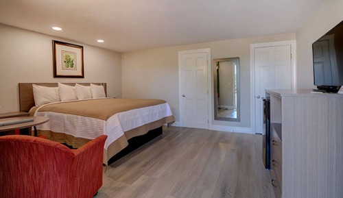 Room, 1 King Bed