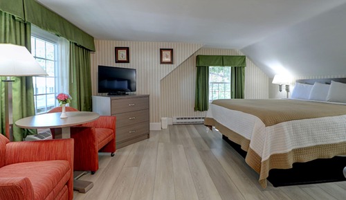 Apartment, 1 King Bed with Sofa bed