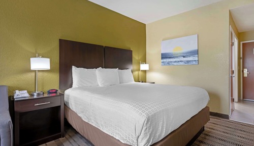 Standard Room, 1 King Bed, Non Smoking, Refrigerator & Microwave