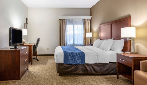 Standard Room, 1 King Bed, Non Smoking