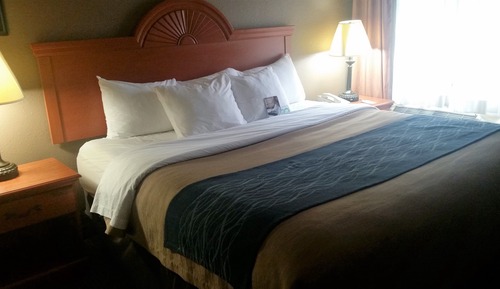 Room, 1 Double Bed, Accessible, Non Smoking (Accessible Tub)