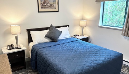 Standard Suite, 1 Queen Bed with Sofa bed, Refrigerator & Microwave
