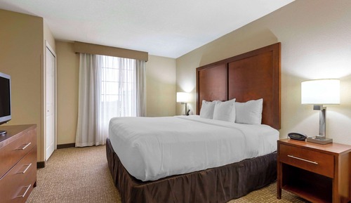 Suite, 1 King Bed with Sofa bed, Non Smoking