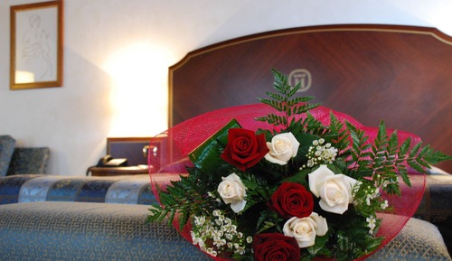 Junior Suite (Single Use 1 Adult)