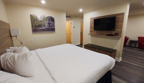Suite, 1 King Bed