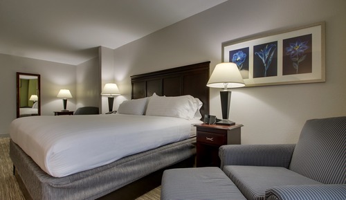 Standard Room, 1 King Bed, Accessible (Communication, Roll-In Shower)