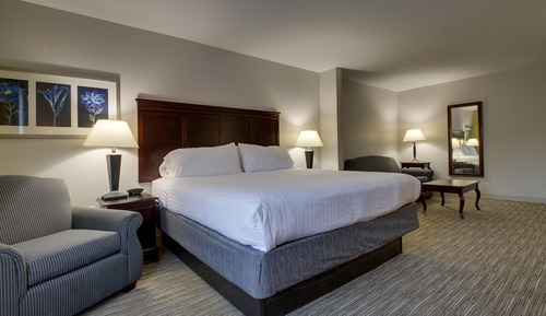 Suite, 1 King Bed, Accessible, Non Smoking (Mobility Transfer Shower)